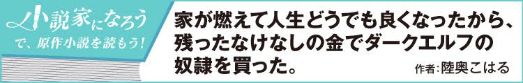 家が燃えて人生どうでも良くなったから、残ったなけなしの金でダークエルフの奴隷を買った。